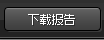 下载报告