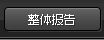 详细报告